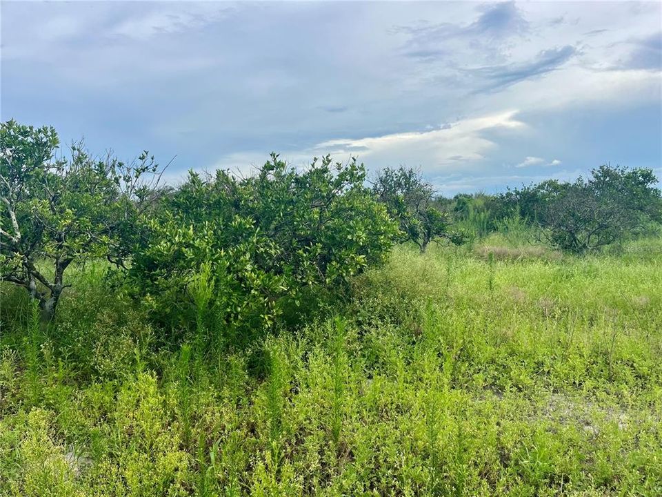 En Venta: $325,000 (24.88 acres)