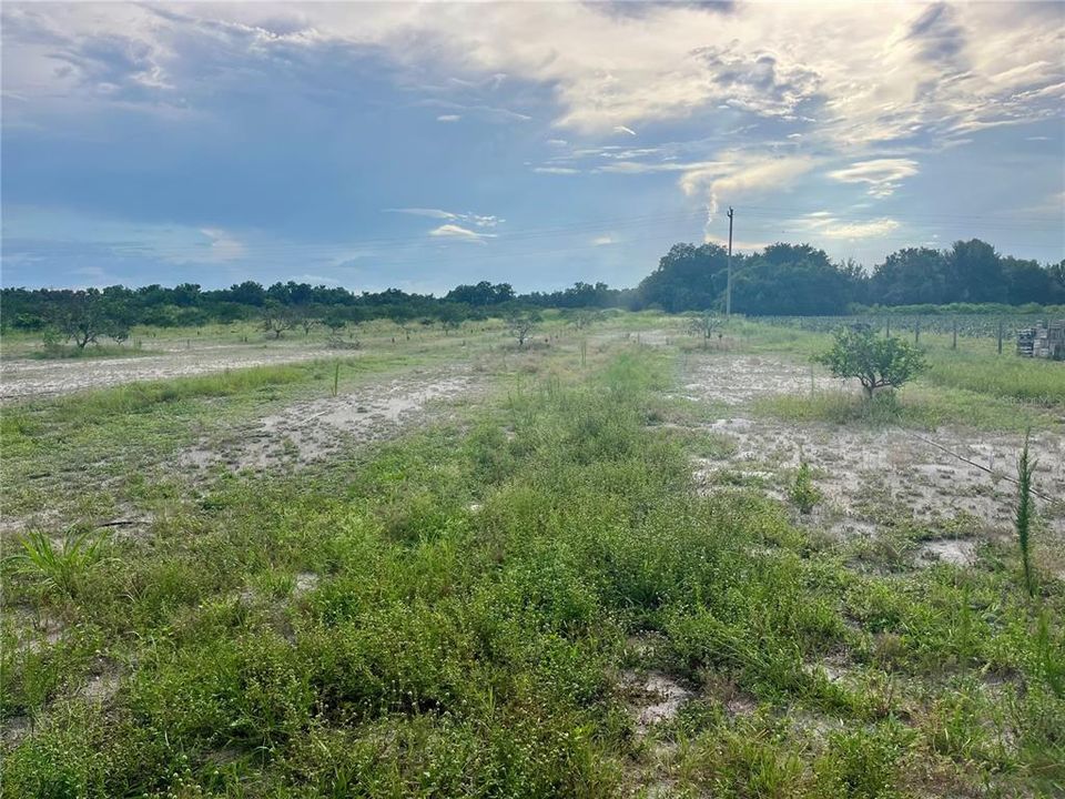 En Venta: $325,000 (24.88 acres)