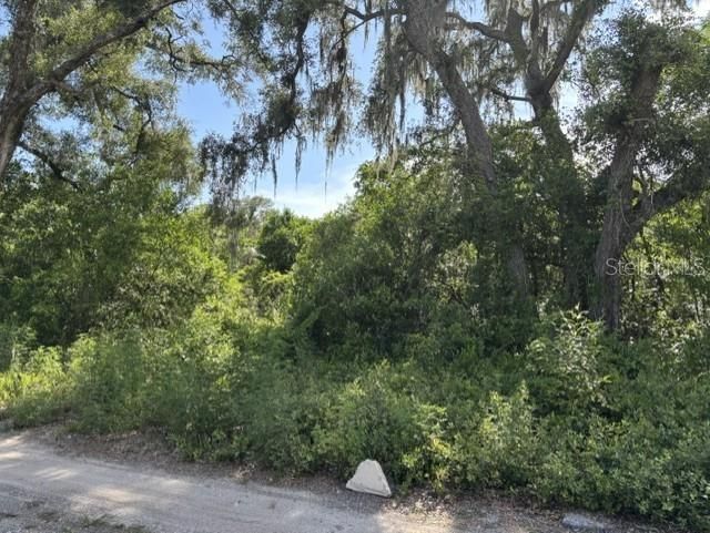 На продажу: $180,000 (4.00 acres)