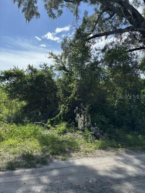 На продажу: $180,000 (4.00 acres)