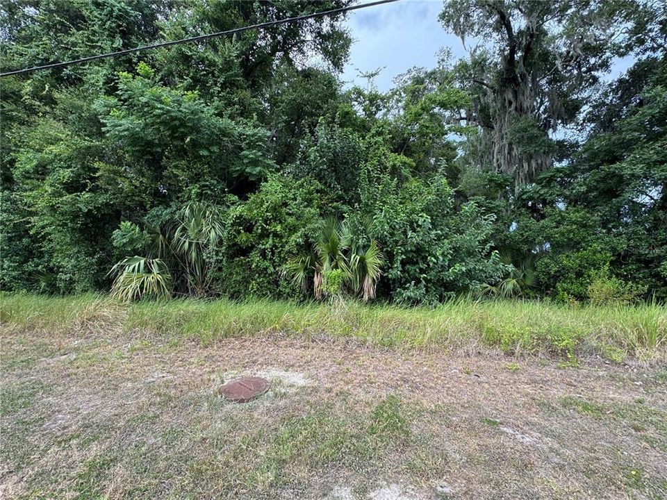 For Sale: $75,000 (0.61 acres)