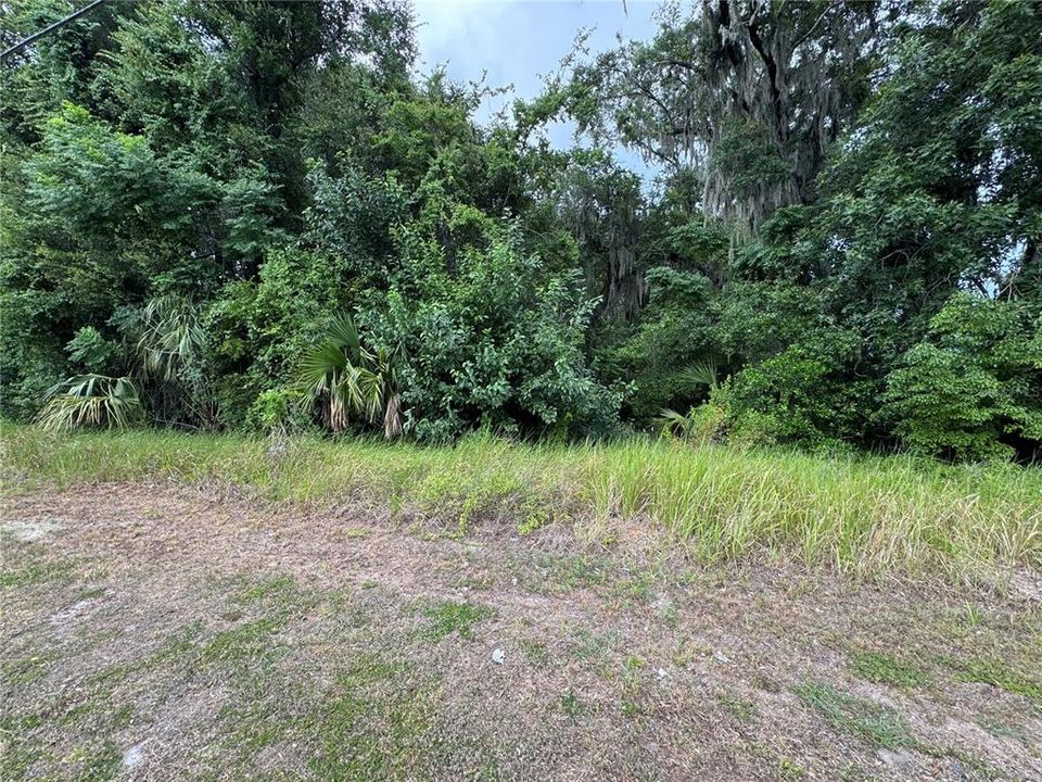 For Sale: $75,000 (0.61 acres)