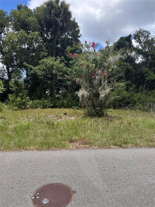 Active With Contract: $18,200 (0.17 acres)