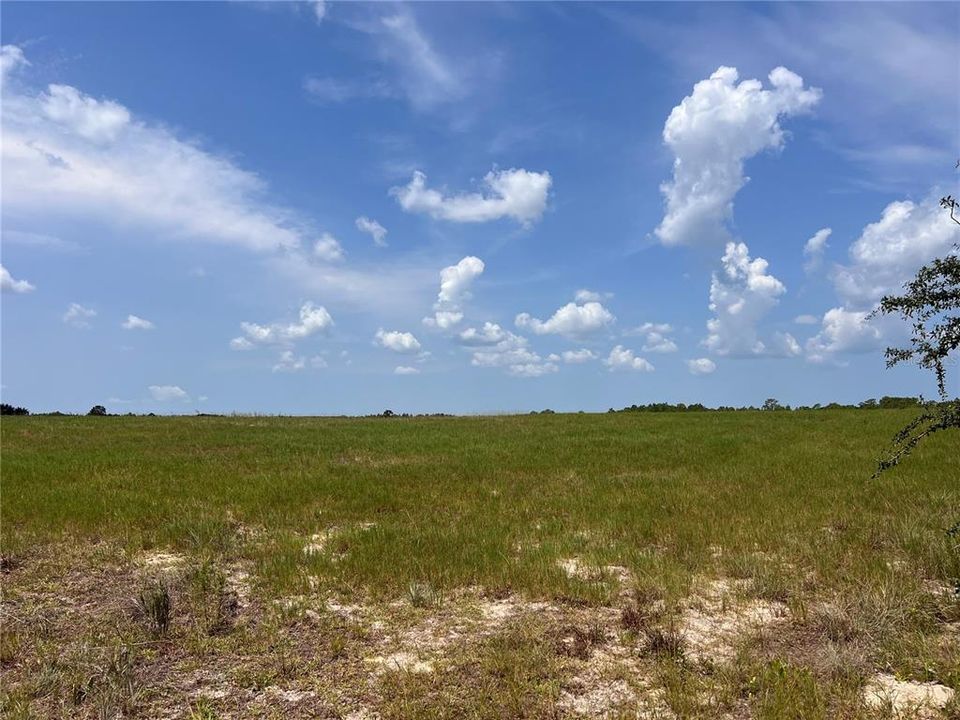 For Sale: $530,000 (20.90 acres)
