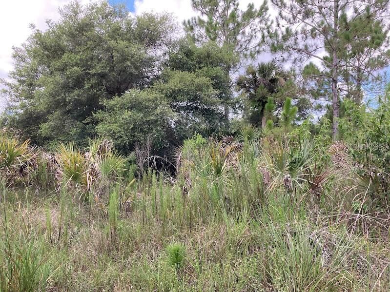En Venta: $180,000 (2.50 acres)