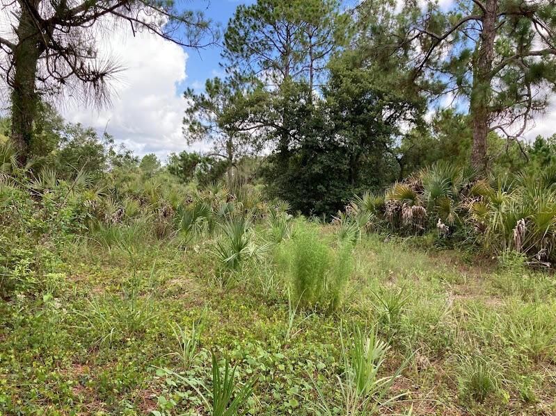 En Venta: $180,000 (2.50 acres)