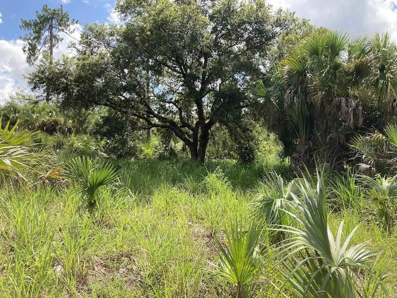 En Venta: $180,000 (2.50 acres)
