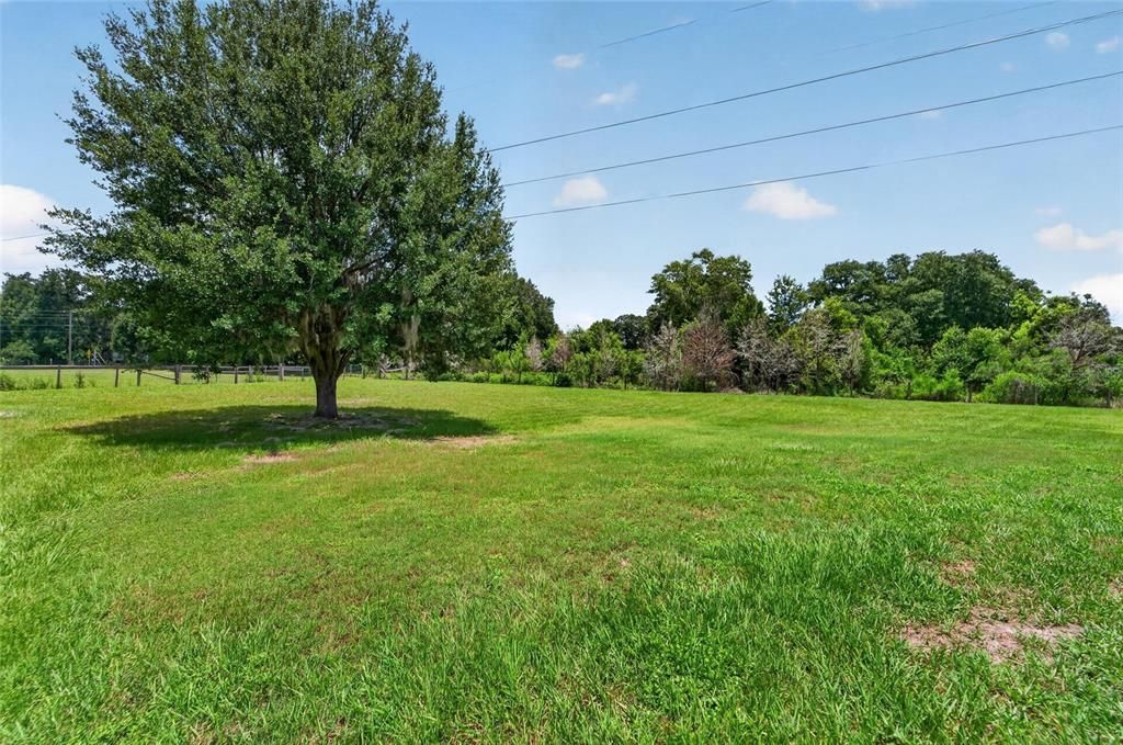 For Sale: $405,000 (4 beds, 2 baths, 1624 Square Feet)