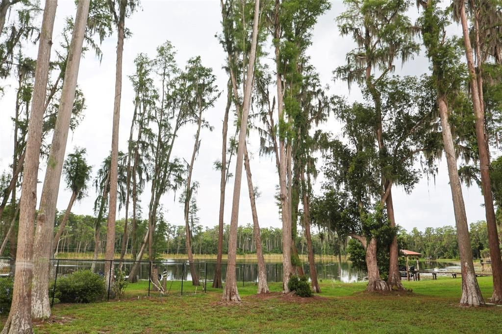 En Venta: $519,000 (4 camas, 2 baños, 1900 Pies cuadrados)