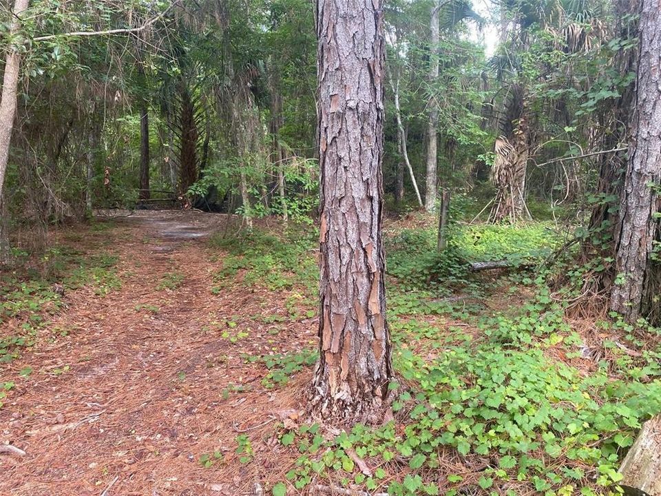 For Sale: $125,000 (15.05 acres)