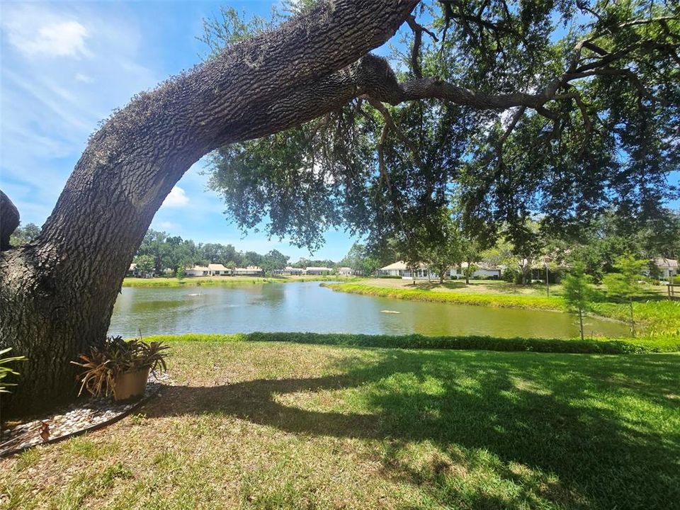 For Rent: $2,299 (2 beds, 2 baths, 1703 Square Feet)