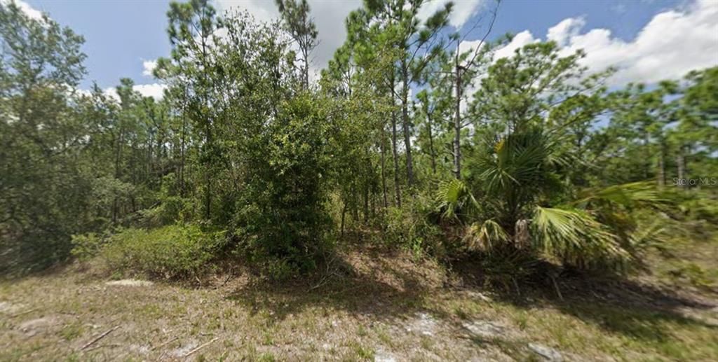 For Sale: $12,990 (0.17 acres)