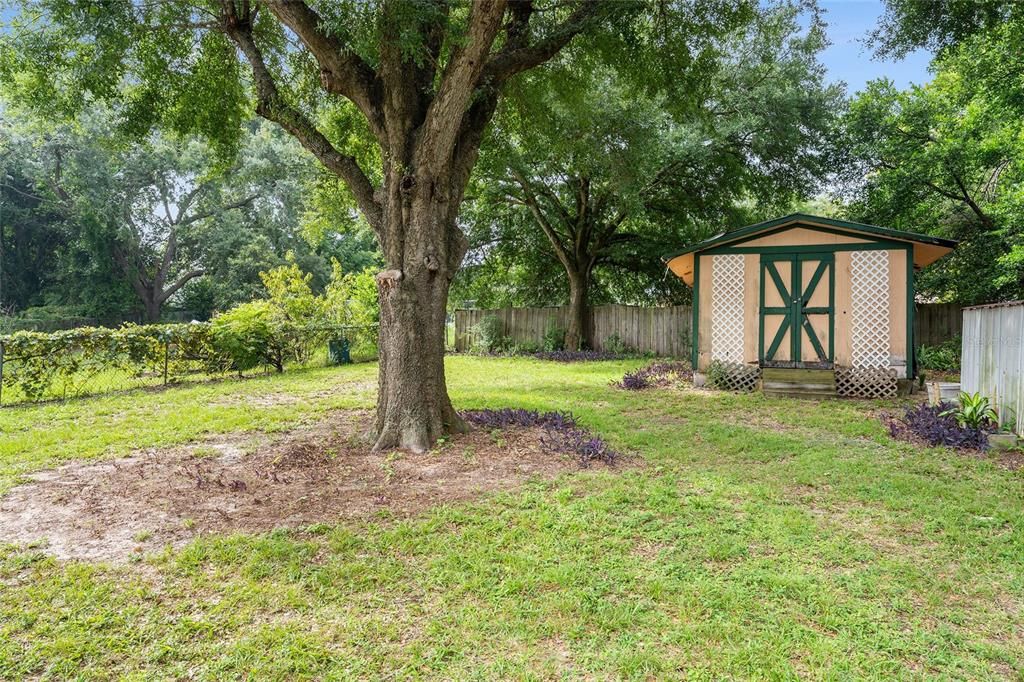 For Sale: $400,000 (3 beds, 1 baths, 1212 Square Feet)