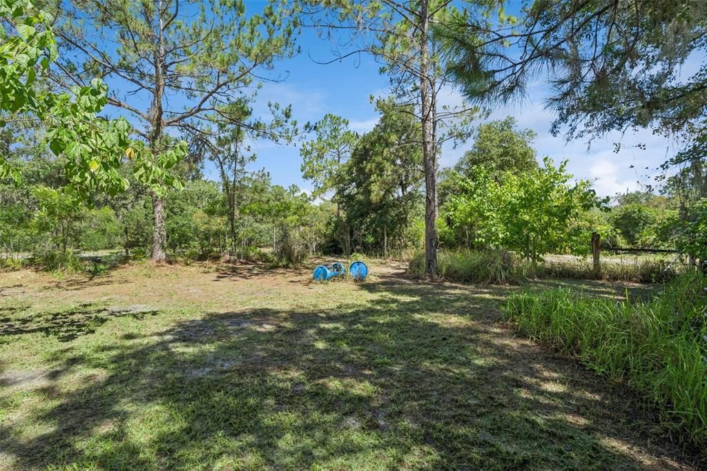 En Venta: $650,000 (4 camas, 2 baños, 1612 Pies cuadrados)
