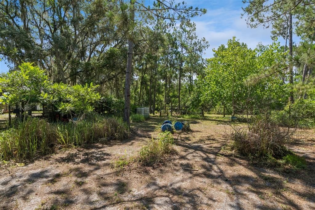 En Venta: $650,000 (4 camas, 2 baños, 1612 Pies cuadrados)
