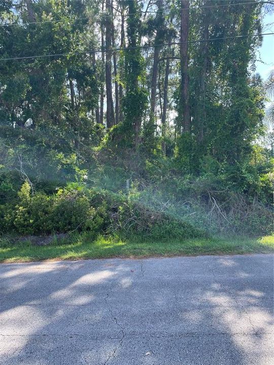Activo con contrato: $82,000 (0.23 acres)