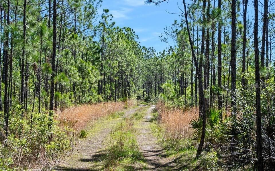 待售: $489,000 (40.00 acres)
