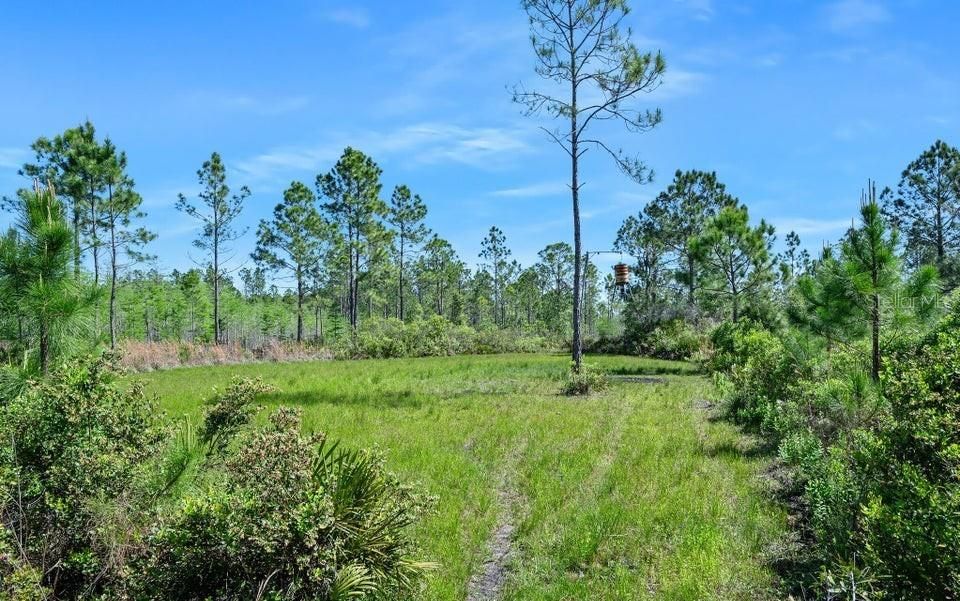 待售: $489,000 (40.00 acres)