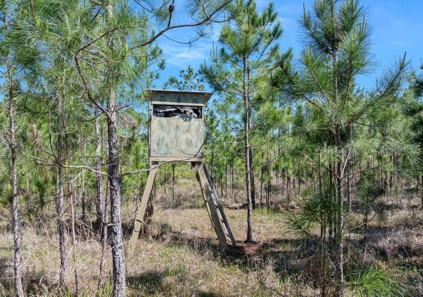 待售: $489,000 (40.00 acres)