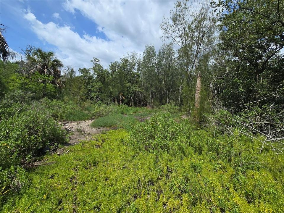 For Sale: $199,000 (2.50 acres)