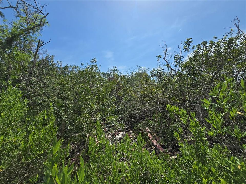 For Sale: $199,000 (2.50 acres)
