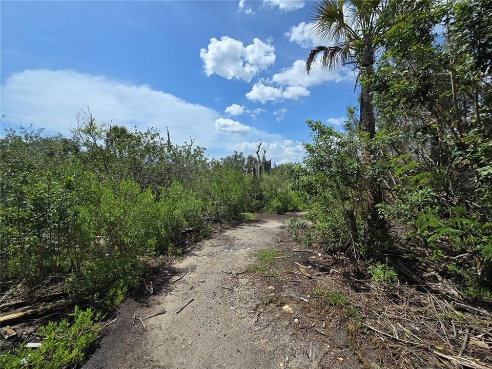 For Sale: $199,000 (2.50 acres)