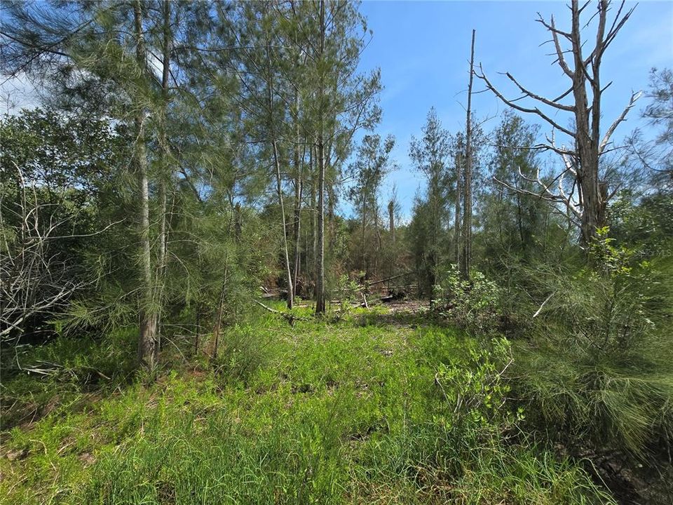 For Sale: $199,000 (2.50 acres)