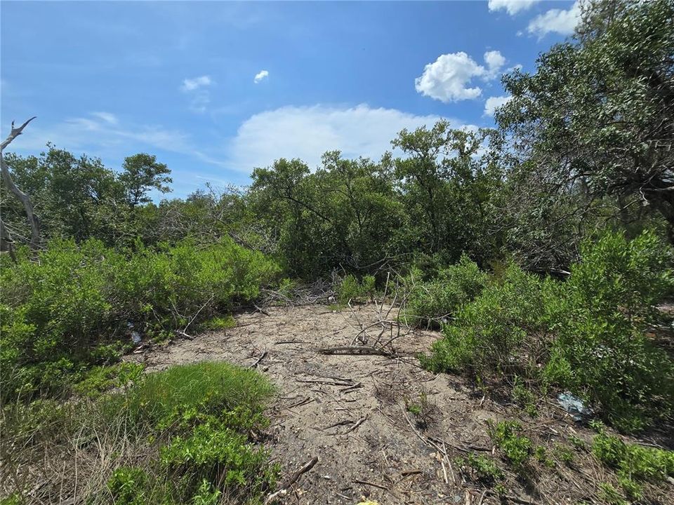 For Sale: $199,000 (2.50 acres)