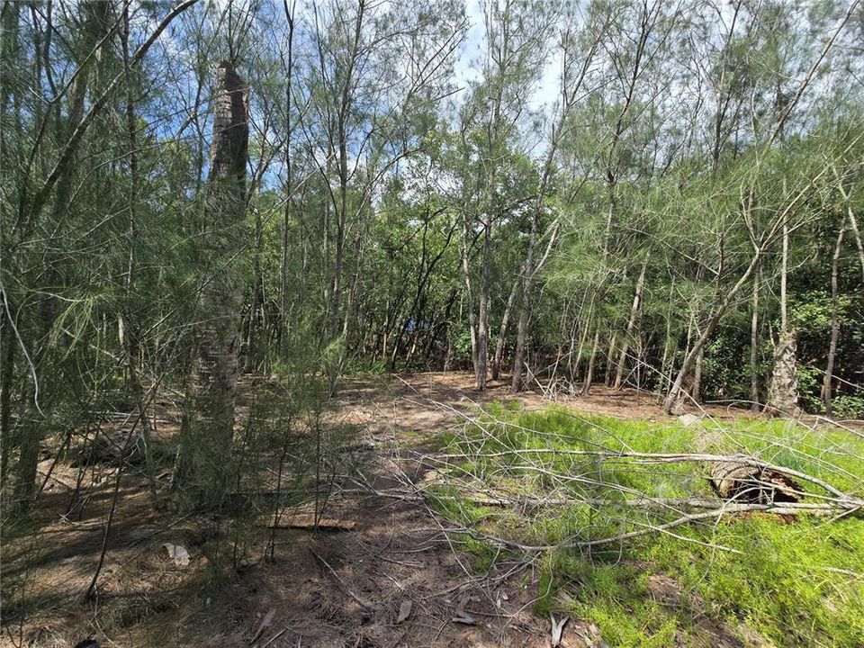 For Sale: $199,000 (2.50 acres)