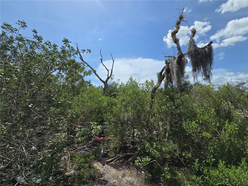 For Sale: $199,000 (2.50 acres)