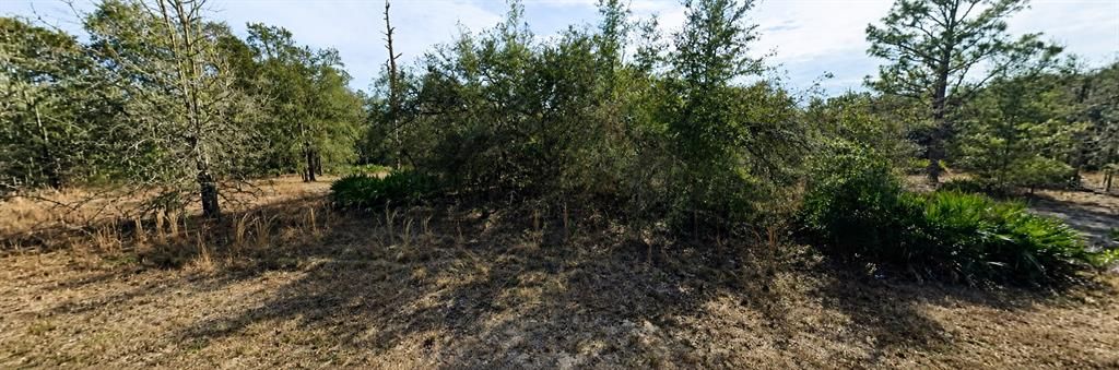 待售: $35,000 (1.16 acres)