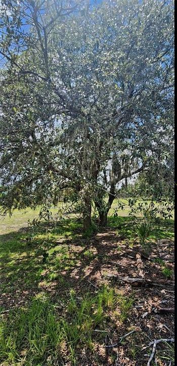 For Sale: $375,000 (4 beds, 2 baths, 2400 Square Feet)