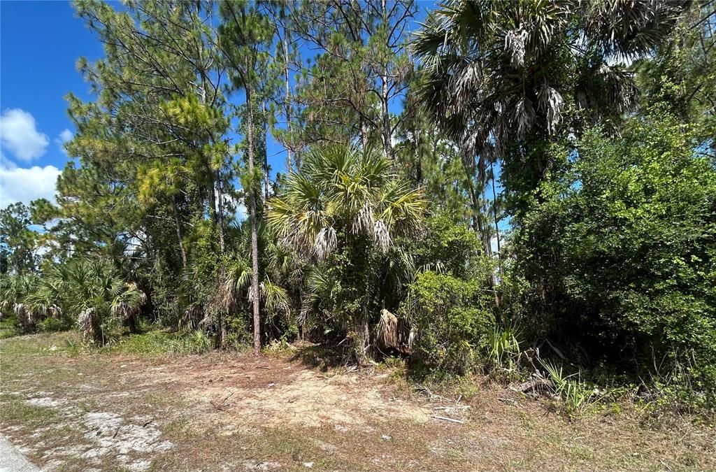 待售: $28,000 (0.23 acres)