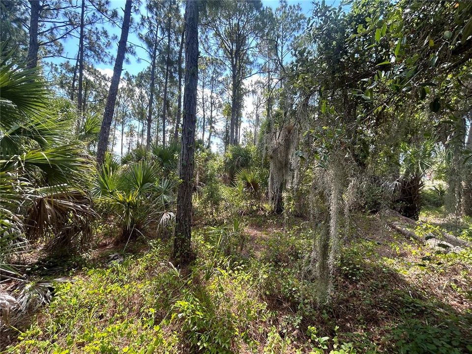 待售: $28,000 (0.23 acres)