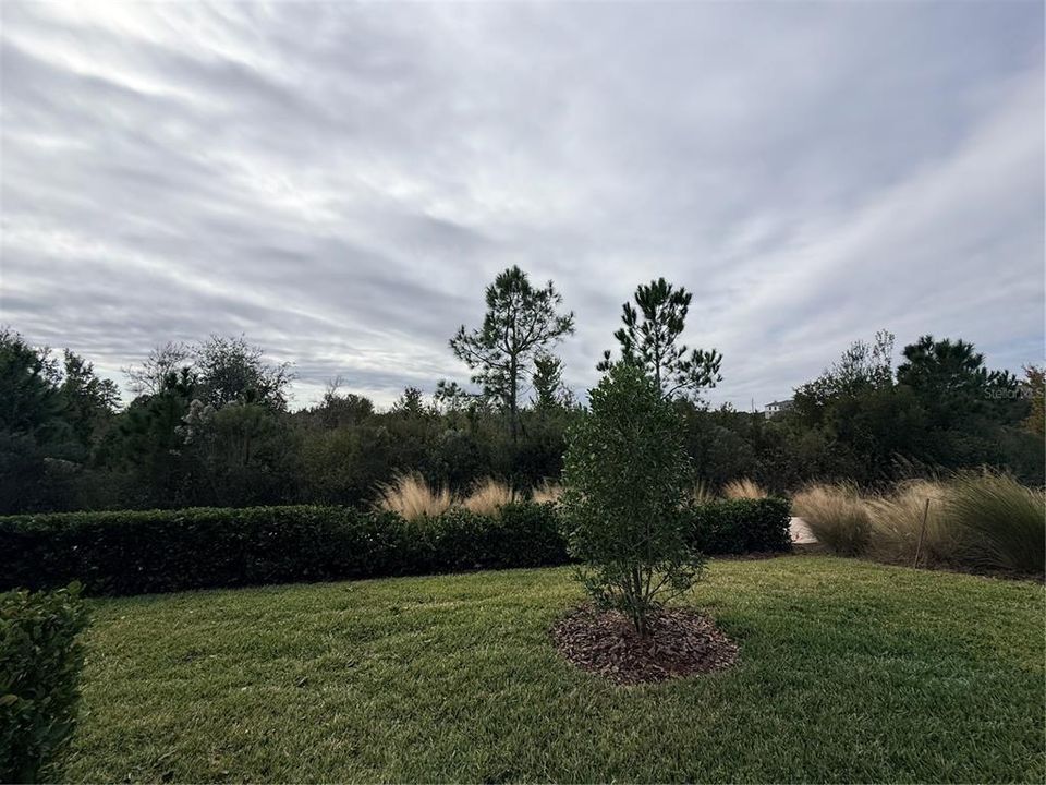 For Rent: $2,995 (3 beds, 2 baths, 1818 Square Feet)