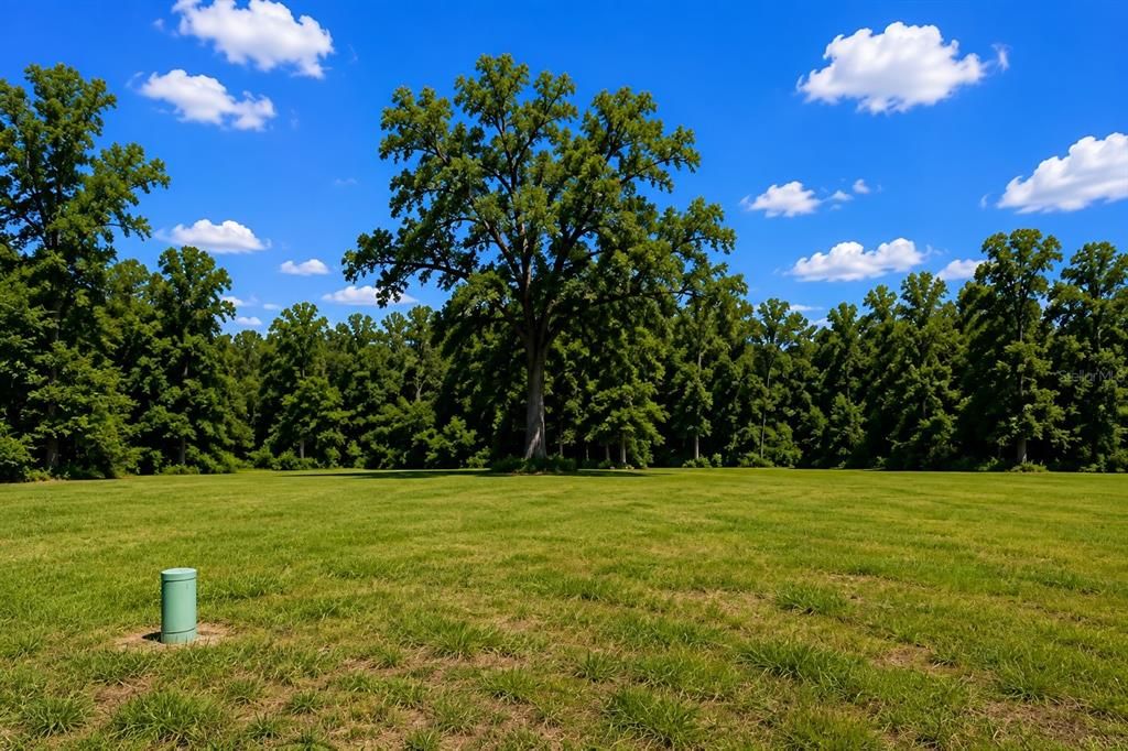 For Sale: $117,000 (0.22 acres)