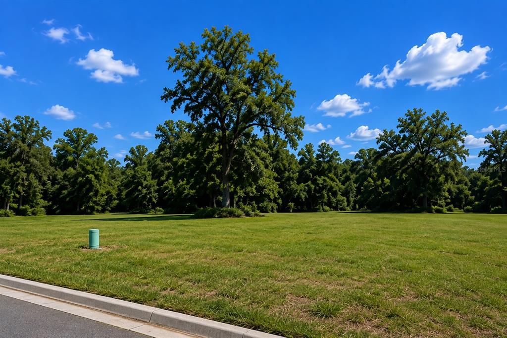 For Sale: $117,000 (0.22 acres)