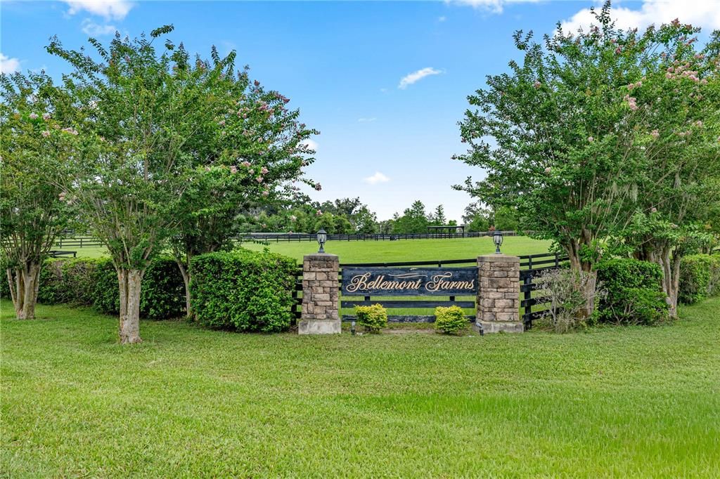 На продажу: $399,000 (10.79 acres)