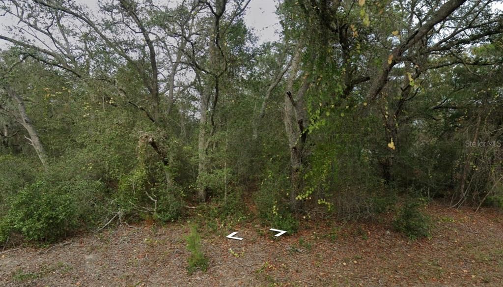 На продажу: $26,000 (0.34 acres)