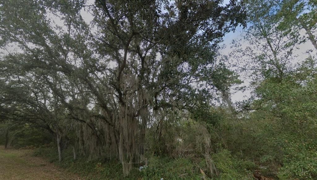 На продажу: $26,000 (0.34 acres)