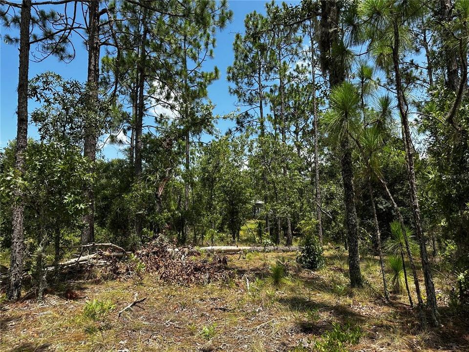 На продажу: $34,500 (1.25 acres)