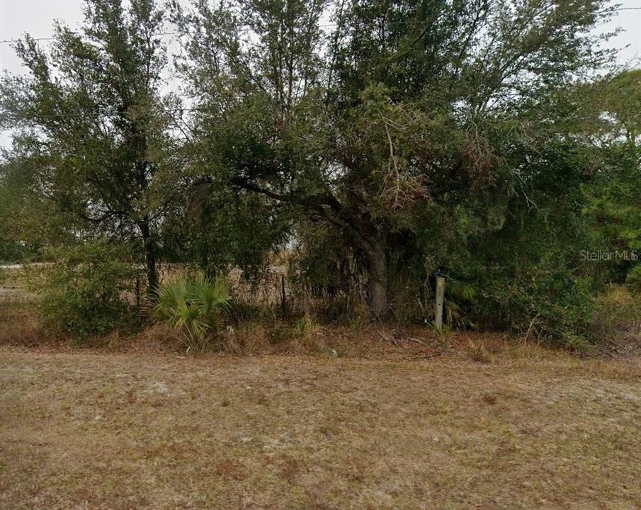 For Sale: $35,000 (0.22 acres)