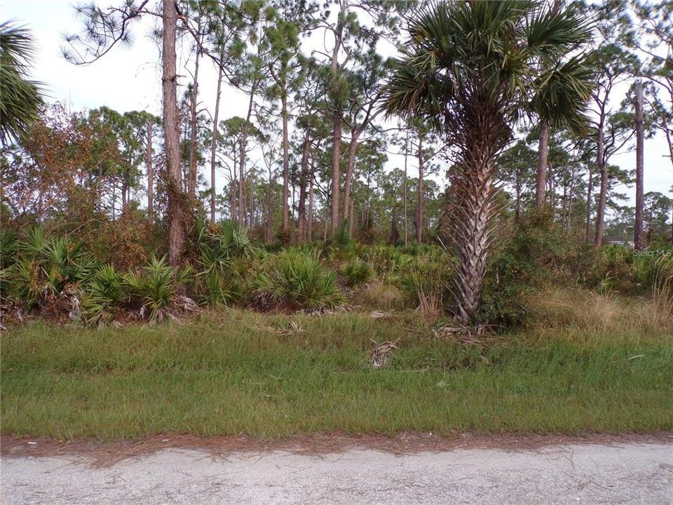 На продажу: $49,000 (0.33 acres)