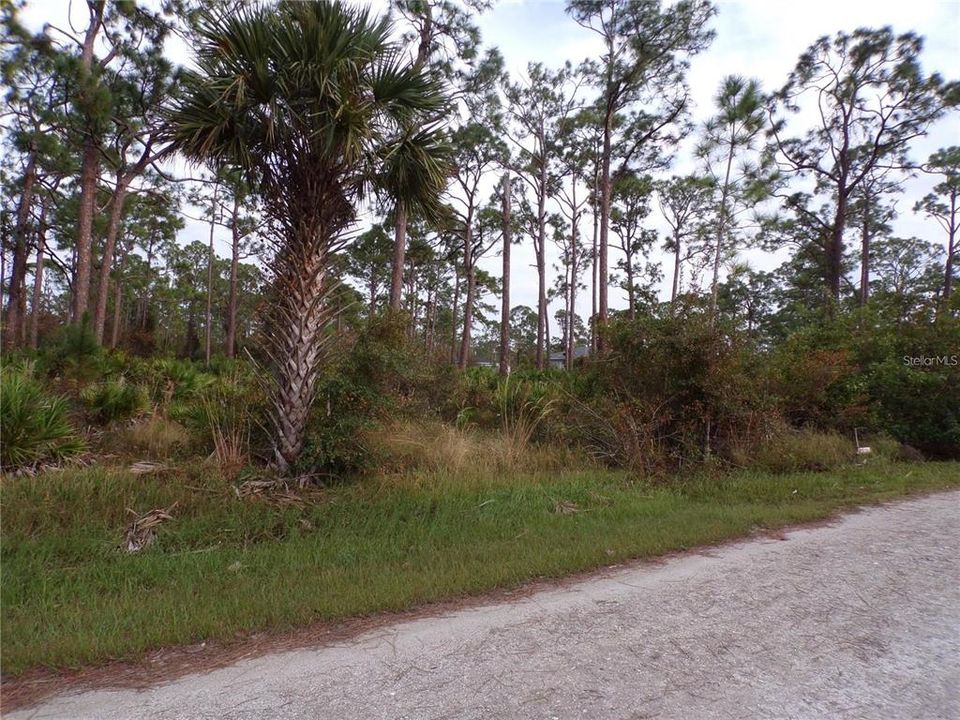 На продажу: $49,000 (0.33 acres)