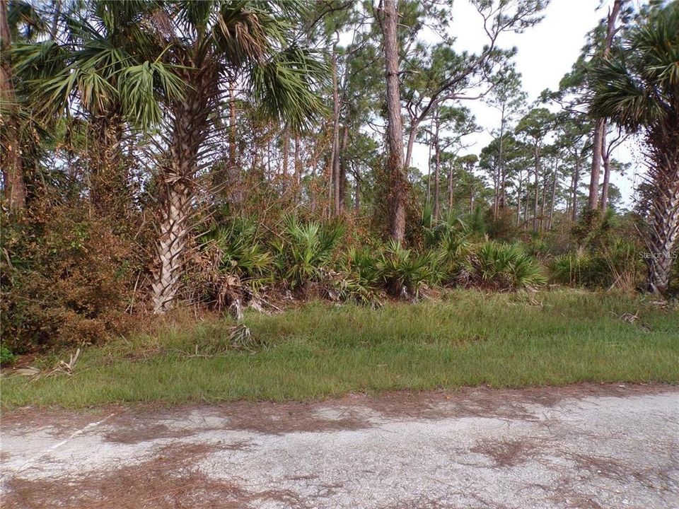 На продажу: $49,000 (0.33 acres)