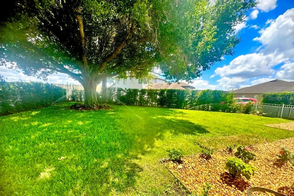 En Venta: $1,250,000 (5 camas, 4 baños, 3803 Pies cuadrados)