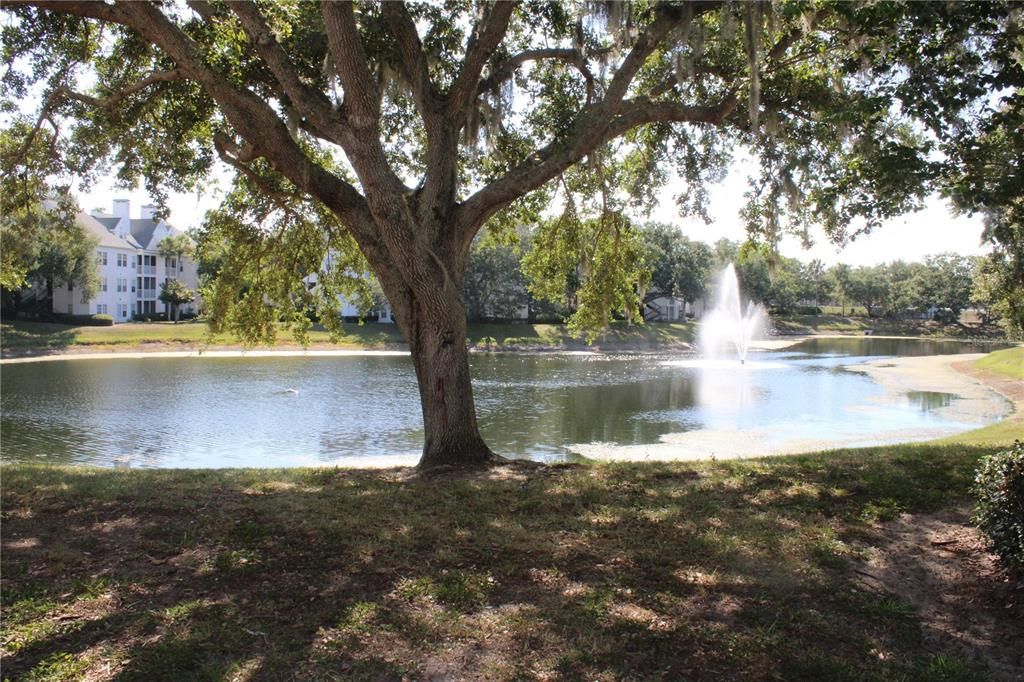For Rent: $1,500 (1 beds, 1 baths, 694 Square Feet)