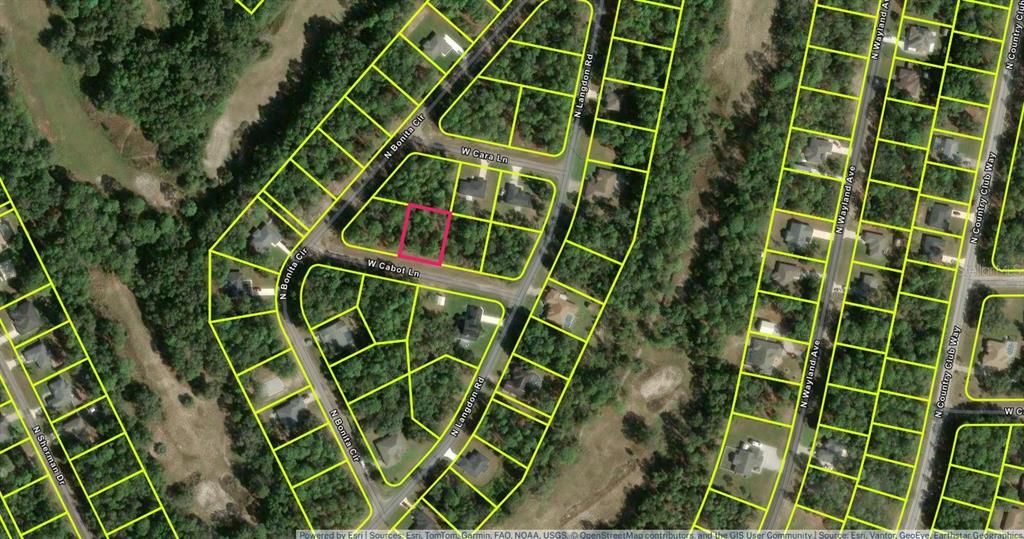 For Sale: $25,000 (0.29 acres)