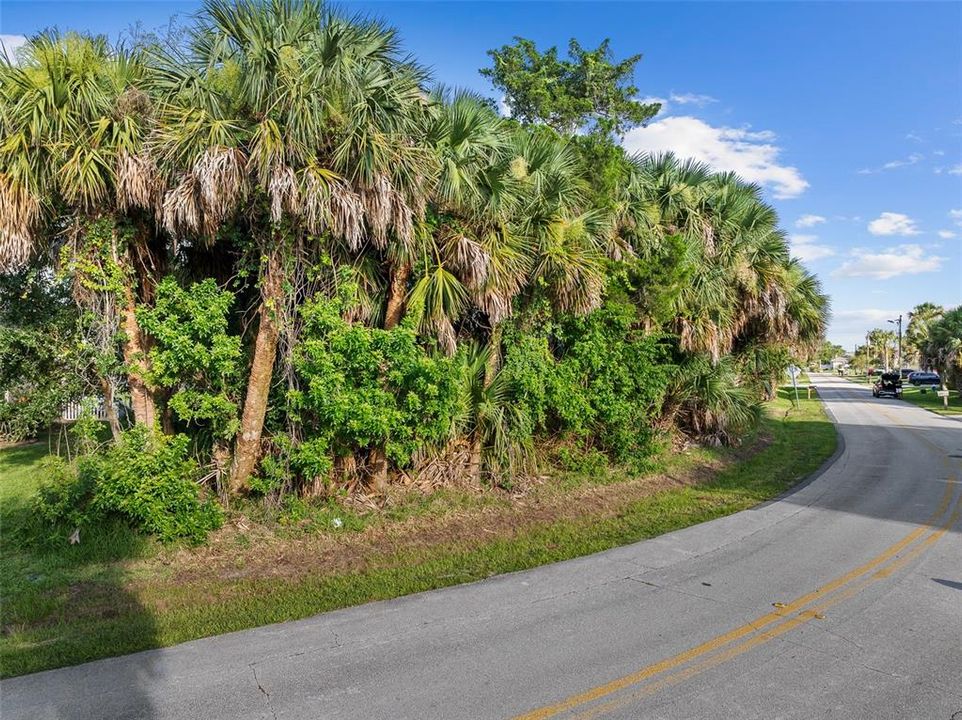 For Sale: $195,000 (0.19 acres)