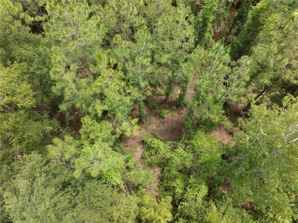 En Venta: $160,000 (9.67 acres)